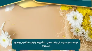 فرصة عمل جديدة في بنك مصر.. الشروط وكيفية التقديم بوضوح وسهولة